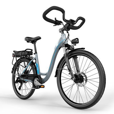 Xe đạp chở hàng có hệ thống treo đầy đủ 26in với pin Lithium 7500mAh