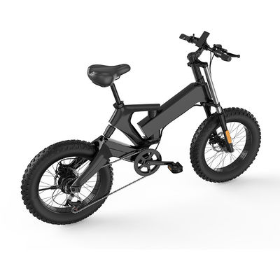 Xe đạp điện gấp lốp 20 inch Fat lốp AC100v với pin Lithium 10AH